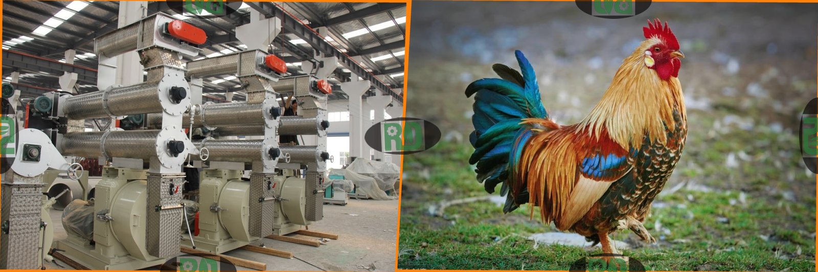 1-2 ton per hour small poultry chicken feed pellet mill machine service life extension