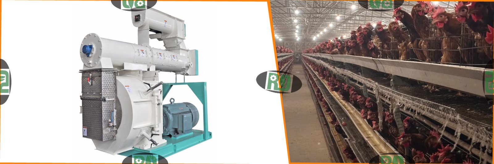 5 T/H poultry feed mill dust collection system with processing equipment