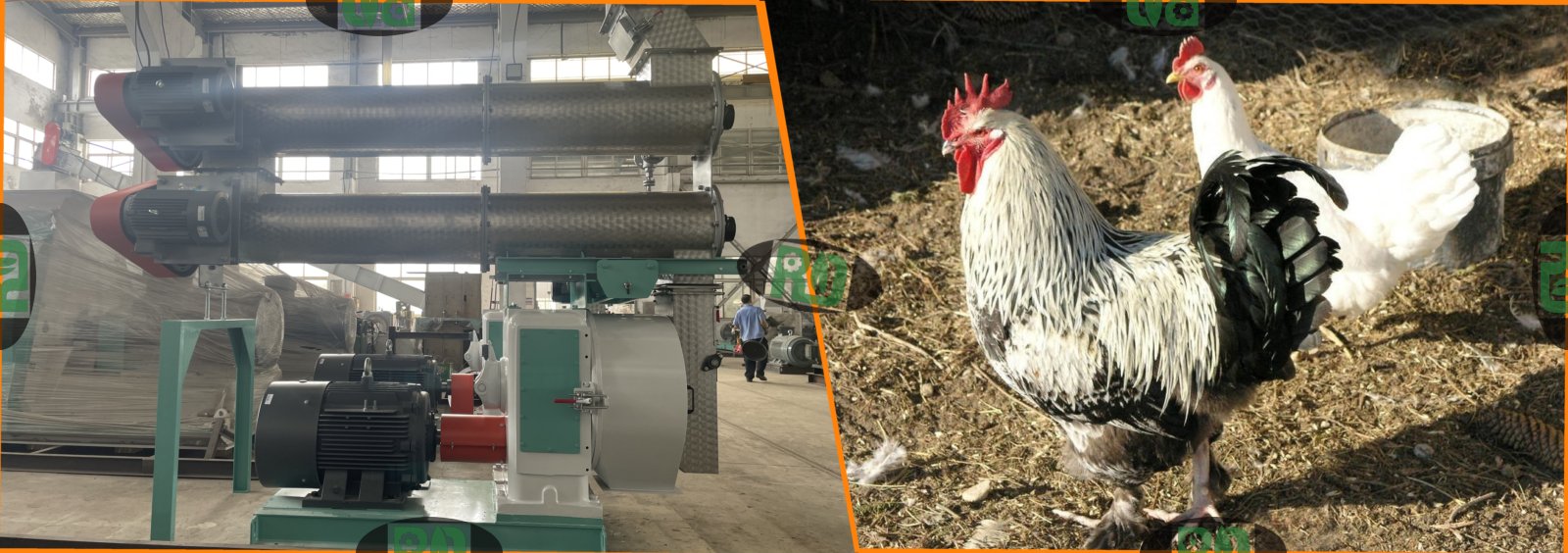 Poultry chicken premix feed production line quality control system with automated mixing equipment