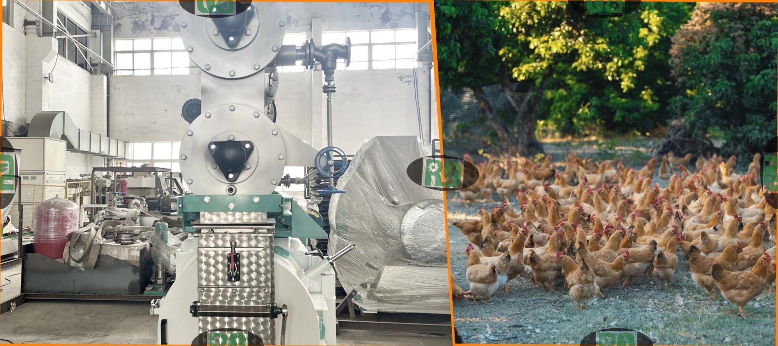 Raw material receiving process showing automated equipment and conveyor systems in poultry chicken pellet feed processing plant