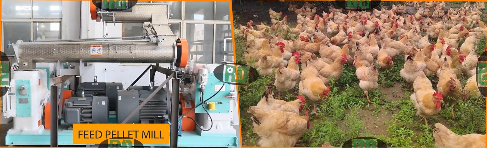 3-4 TPH chicken feed pellet production line equipment configuration for poultry feed manufacturing