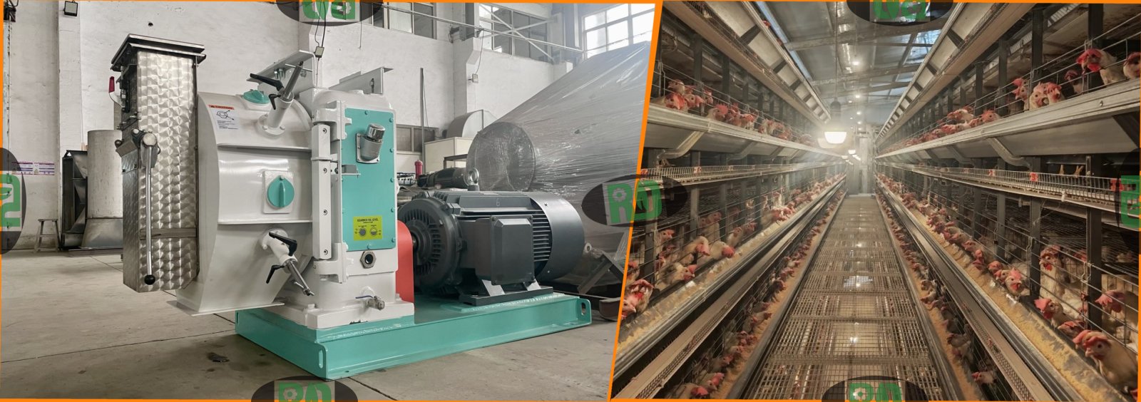 Small chicken poultry feed pellet processing plant with 100kg-2t per hour capacity featuring compact design and efficient pelletizing technology