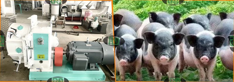 Premix feed production line showing vitamin mineral amino acid mixing process and quality control equipment for poultry livestock aquaculture nutrition