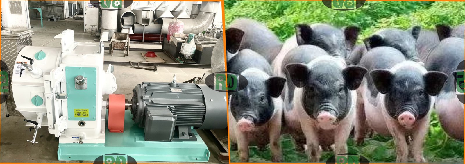 Premix feed production line showing vitamin mineral amino acid mixing process and quality control equipment for poultry livestock aquaculture nutrition