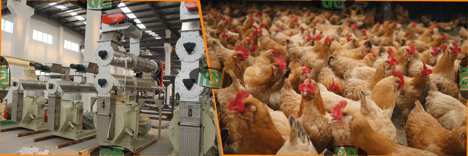 2 ton poultry feed mill plant Nigeria shipping