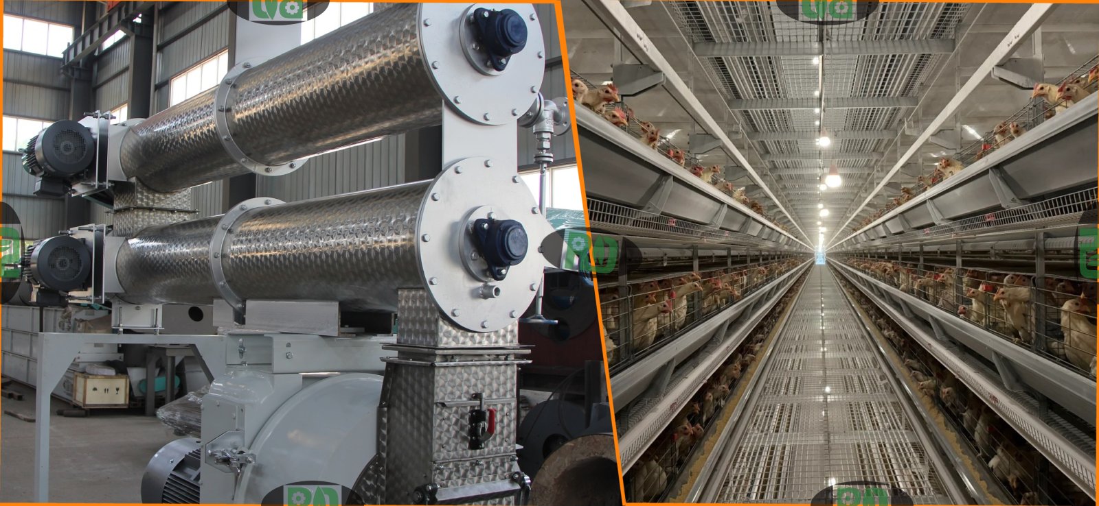 1-2 ton per hour poultry chicken feed pellet mill machine for Nigeria market with animal feed processing technology