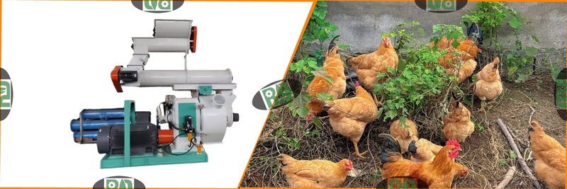 10 tons per hour poultry chicken feed mill plant equipment showing gradual output decline causes and solutions
