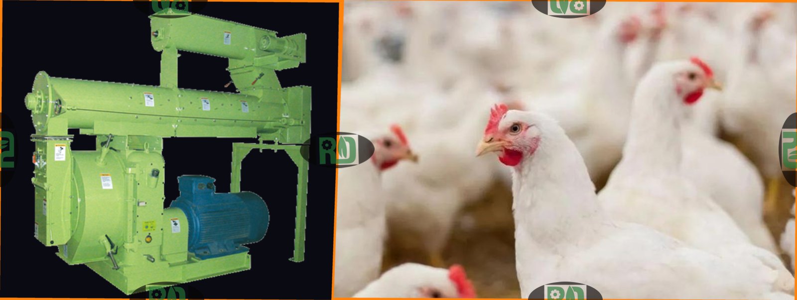 CE certified poultry chicken pellet making machine for efficient feed production