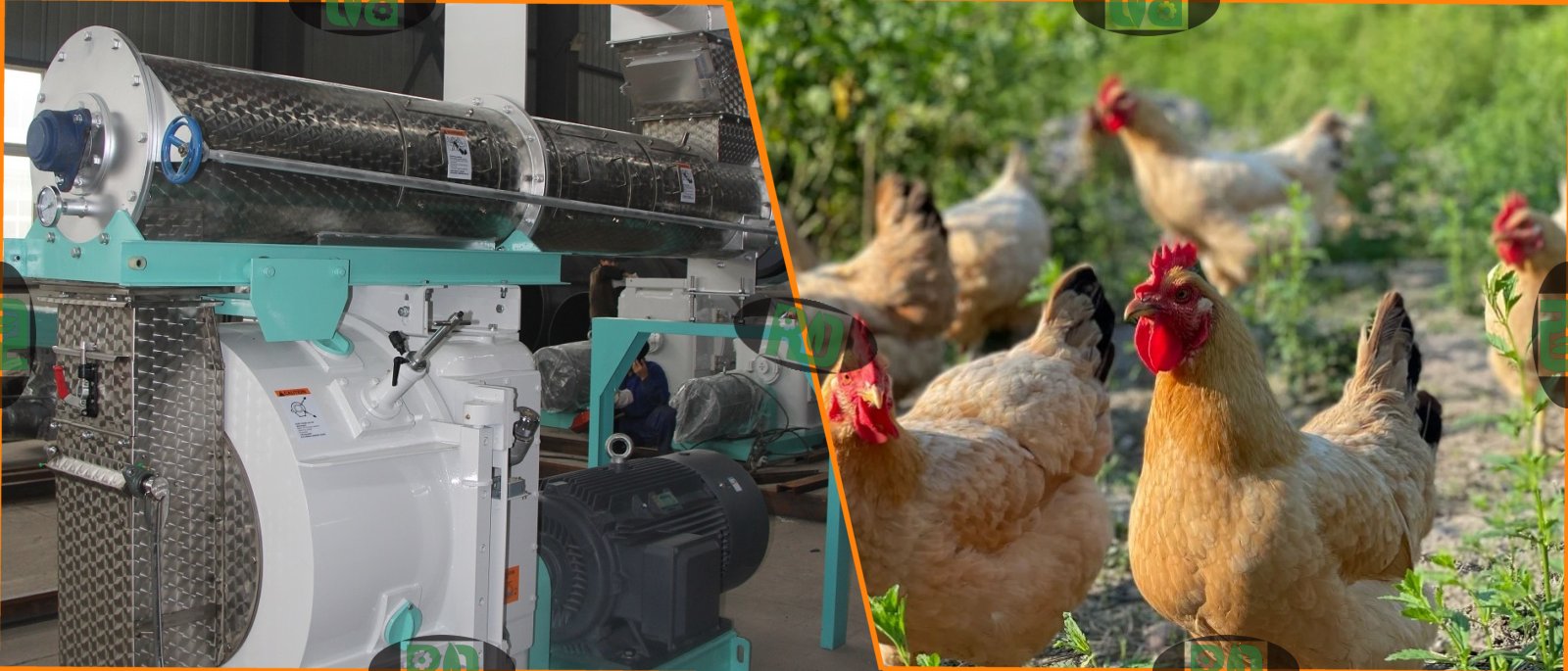 1 ton per hour flat die and ring die poultry feed pellet mill comparison for small scale feed production