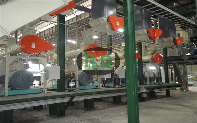 Thailand 10 tons per hour wood pellet production line
