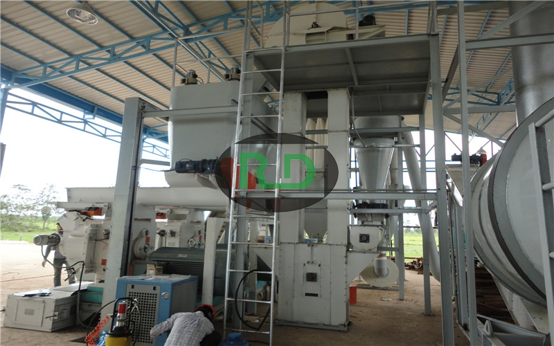 Biomass production line with drying equipment in Thailand