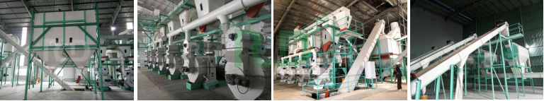 Rongda Machinery Vietnamese 15-18T/Hour Wood Pellet Production Line Project