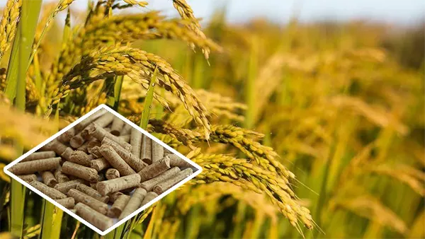 Rice Husk Manufacturing Granules