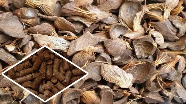 Palm Shell Manufacturing Pellets