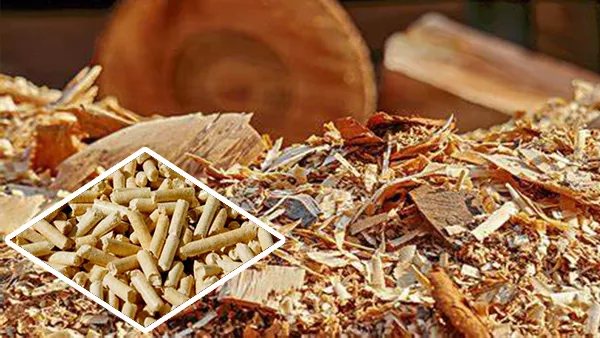 Wood Chips Manufacturing Pellets